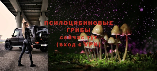 ПСИЛОЦИБИНОВЫЕ ГРИБЫ Аркадак