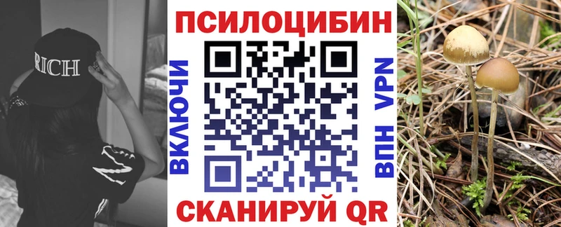 Галлюциногенные грибы MAGIC MUSHROOMS  закладка  mega как войти  Лахденпохья 